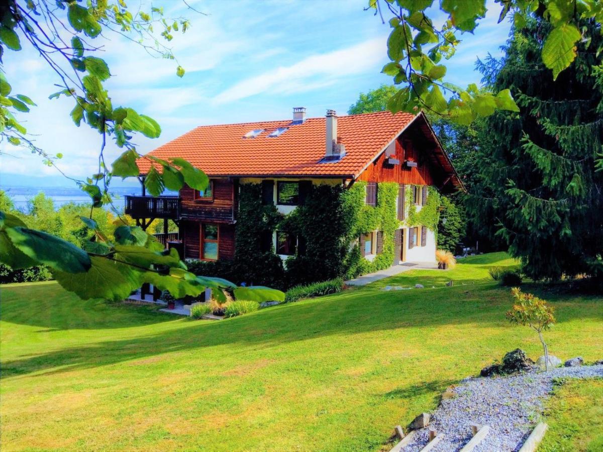Domaine De L'olifant 3*