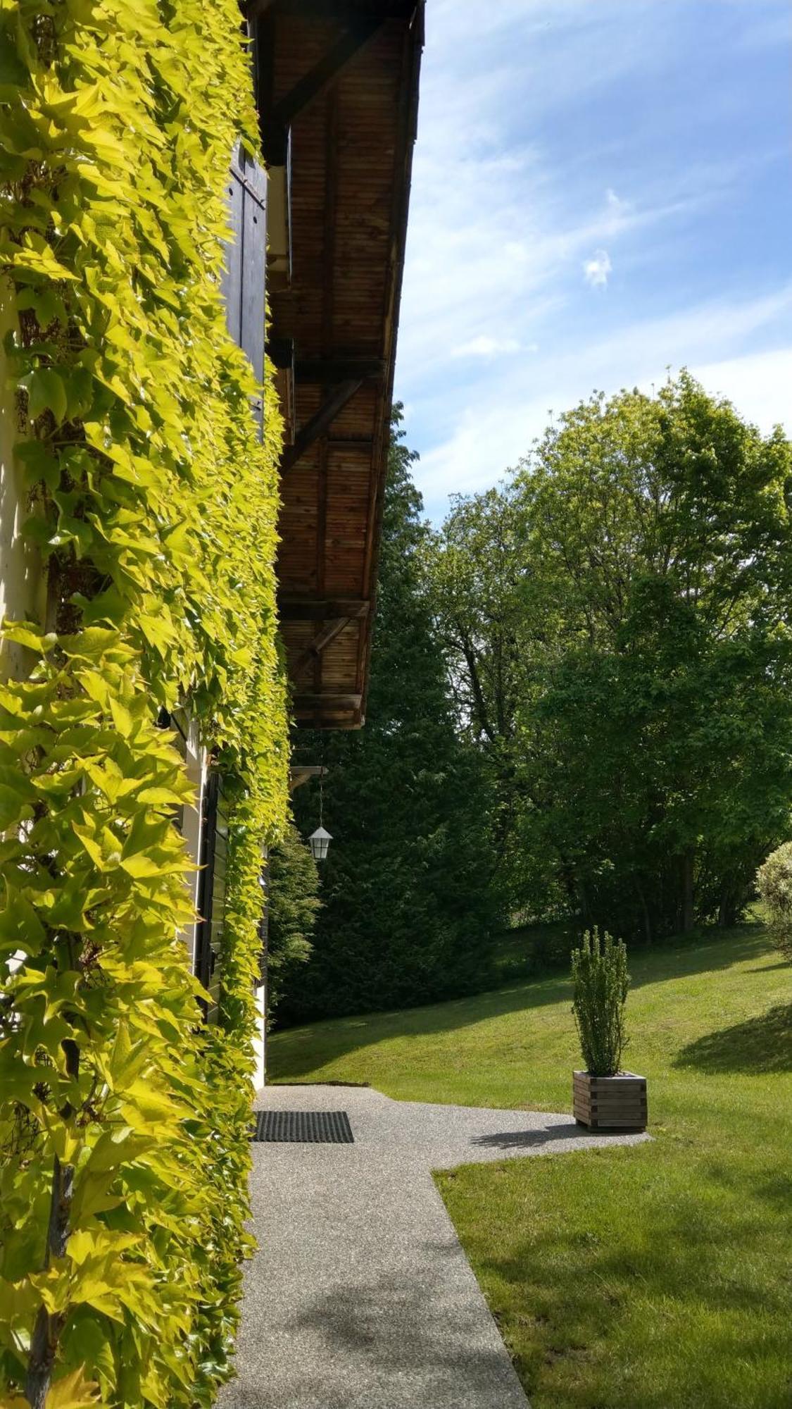 Domaine De L'olifant Couette-café Champanges