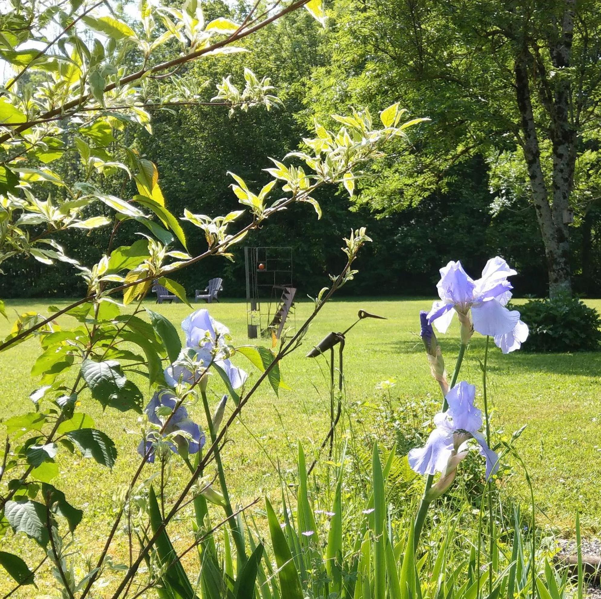 Domaine De L'olifant