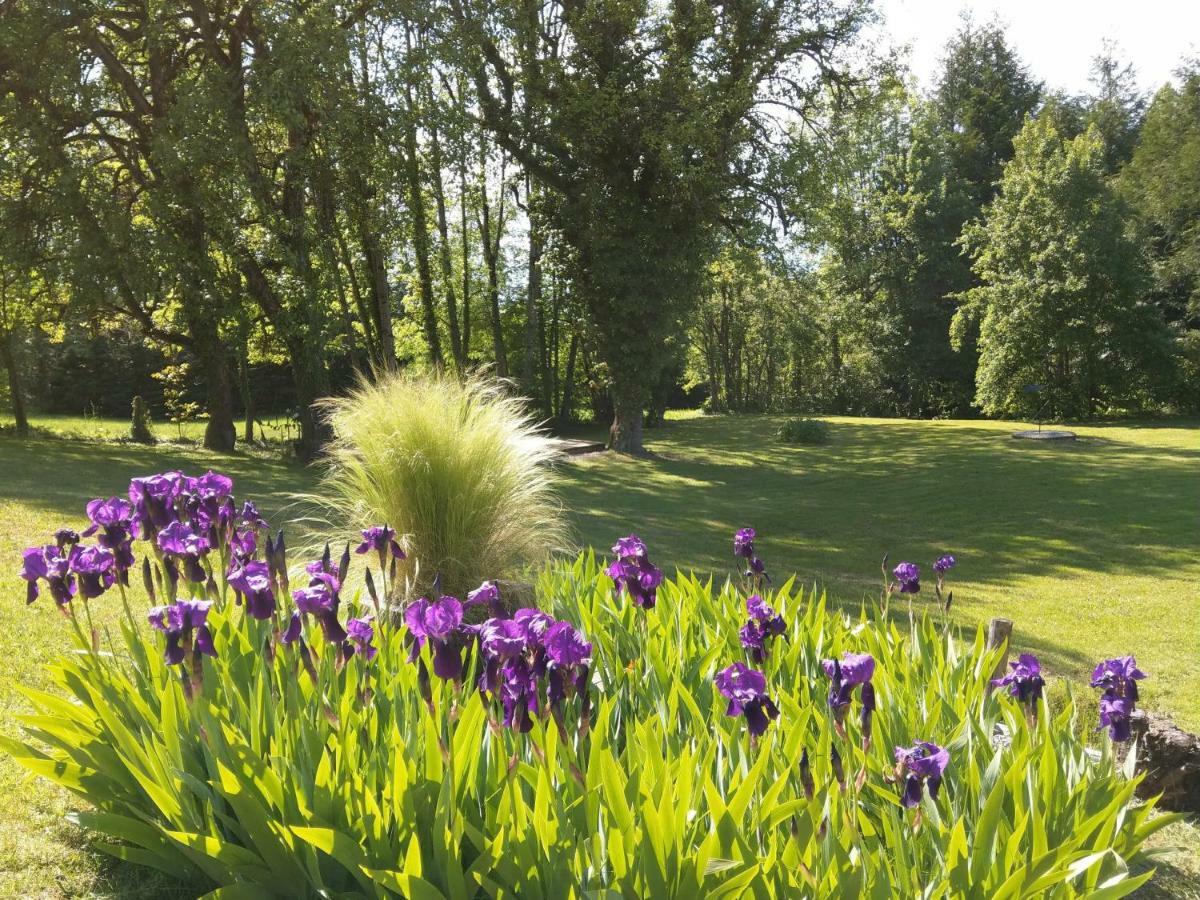 Domaine De L'olifant 3*