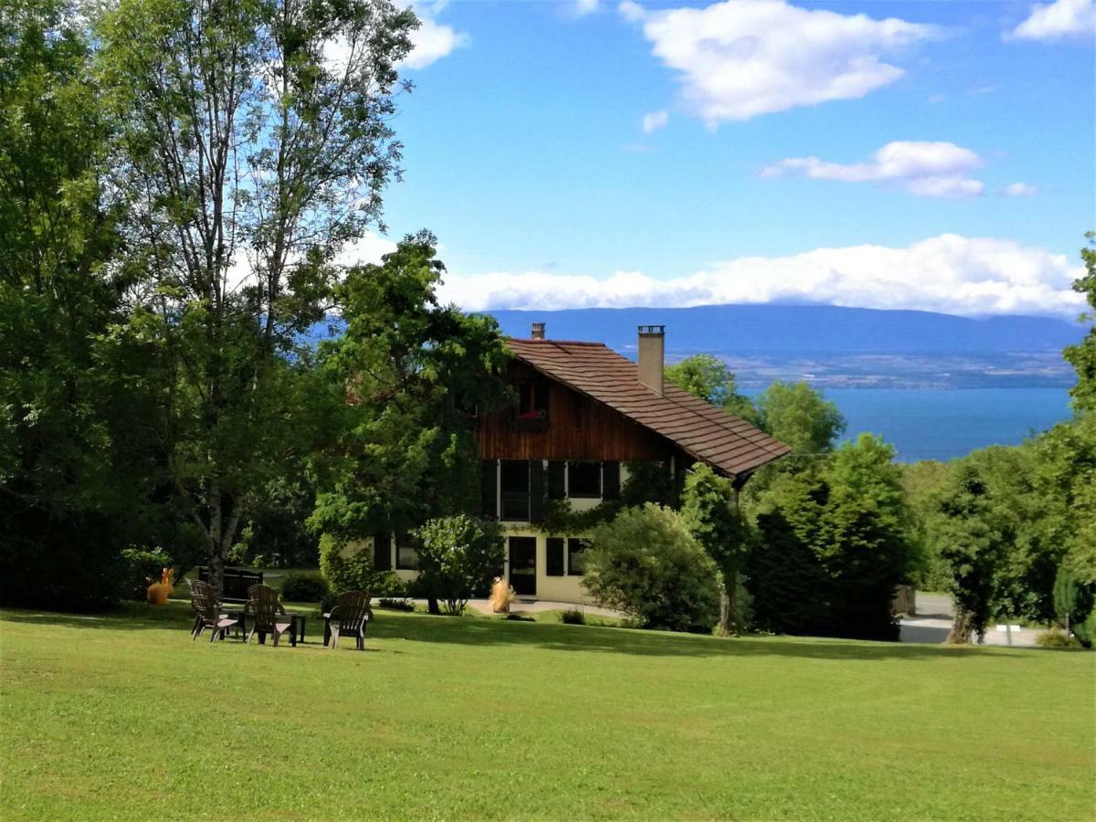 Domaine De L'olifant